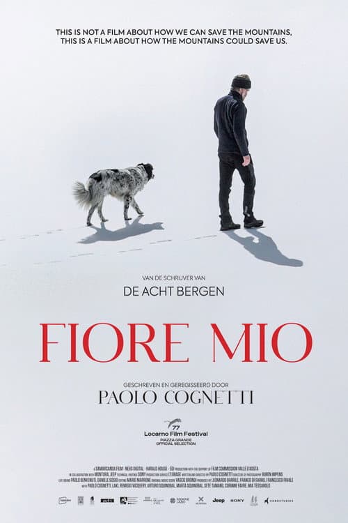 Fiore mio (2024) poster