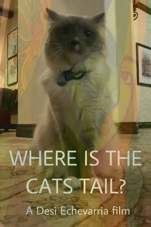 Where Is The Cat's Tail? (2026) poster