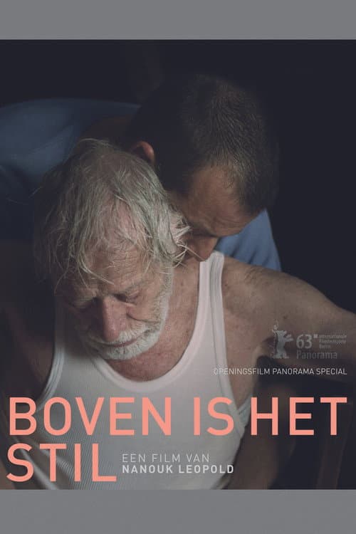 Boven is het stil (2013) poster