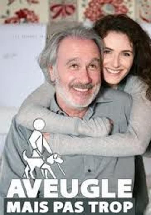 Aveugle mais pas trop (2009) poster
