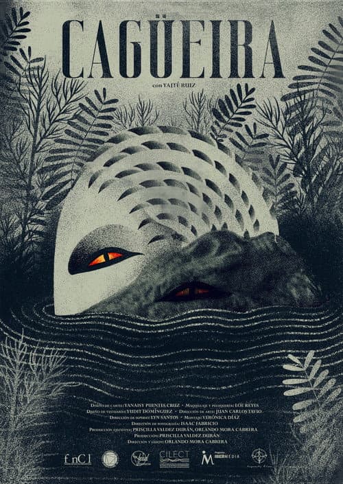 Cagüeira (2026) poster
