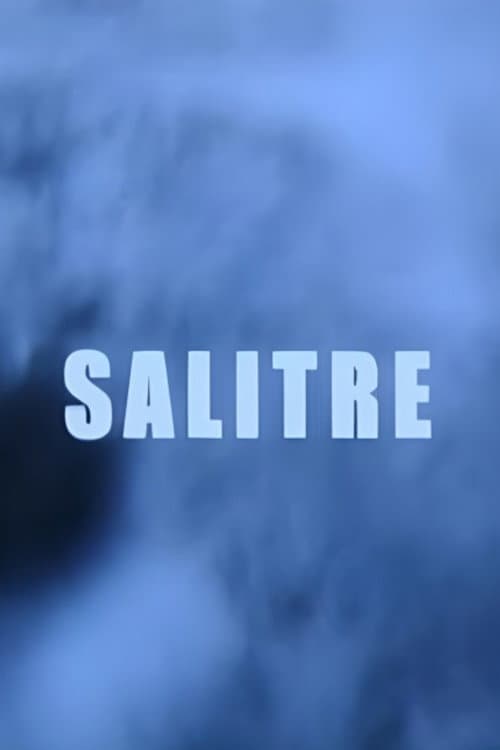 Salitre (2005) poster