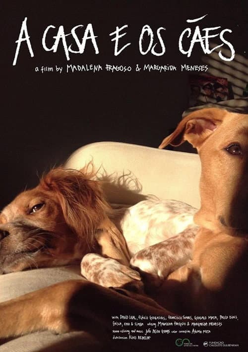 A Casa e os Cães (2019) poster
