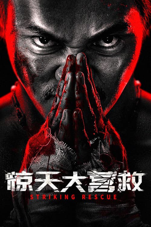 惊天大营救 (2024) poster