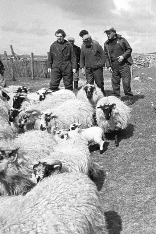 Cìobairean Bhearnaraidh (1981) poster