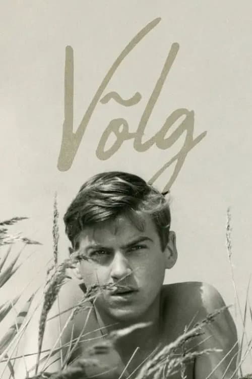 Võlg (1966) poster