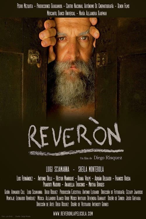 Reverón (2011) poster