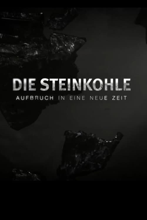 Die Steinkohle: Aufbruch in eine neue Zeit (2018) poster