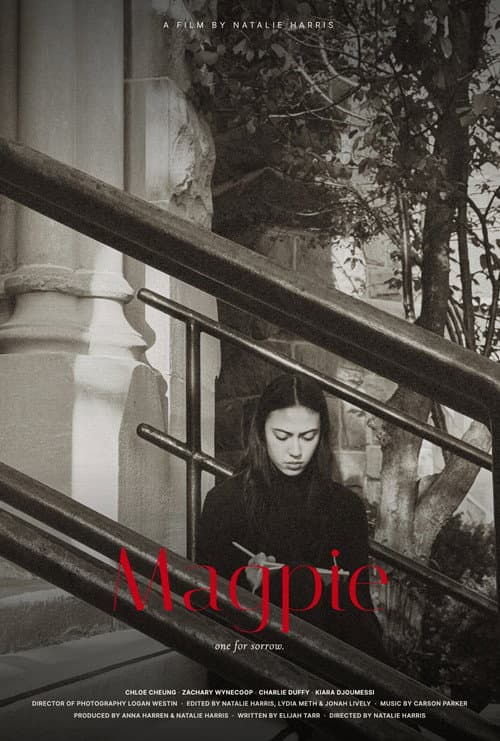 Magpie (2026) poster
