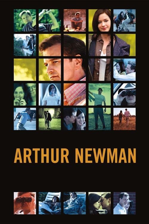 Arthur Newman (2012) poster