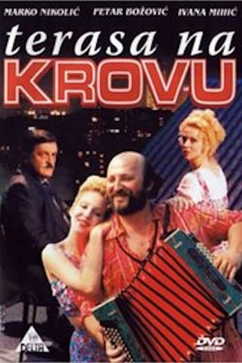 Terasa na krovu (1995) poster
