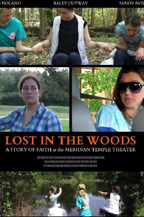 Lost in the Woods (2017) poster