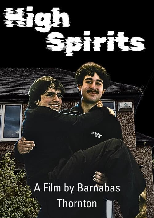 High Spirits (2026) poster