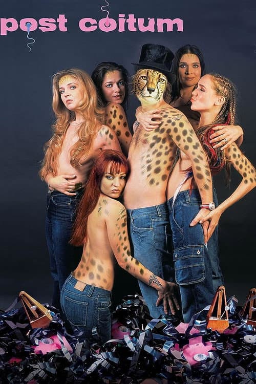 Post coitum (2004) poster