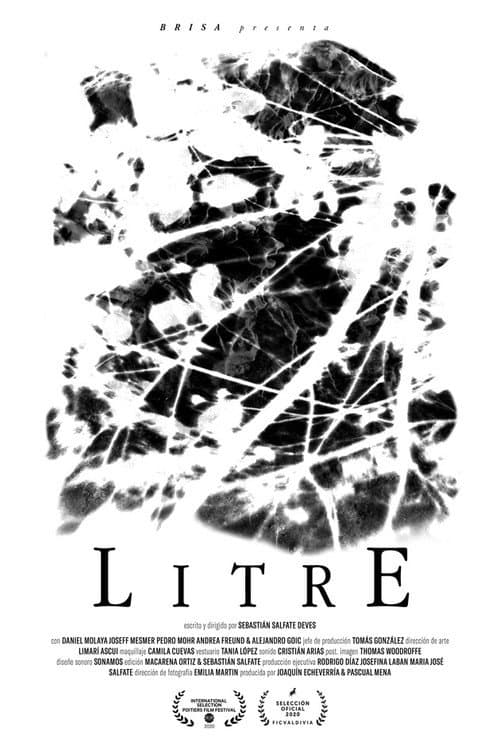 Litre (2020) poster