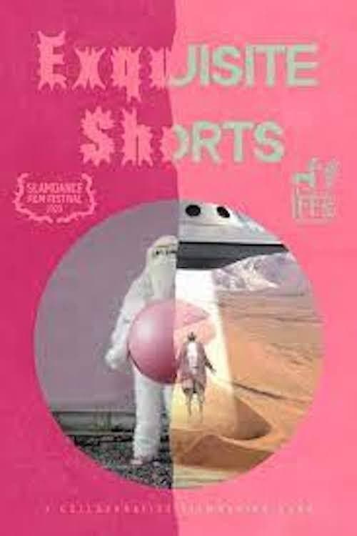 Exquisite Shorts (2021) poster
