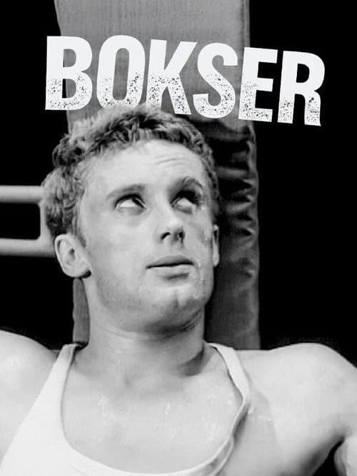 Bokser (1967) poster
