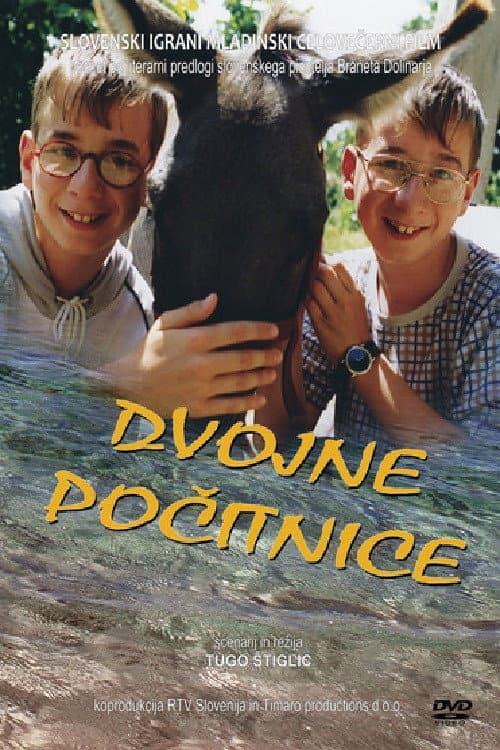 Dvojne počitnice (2001) poster