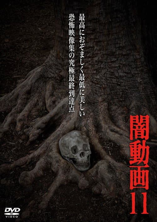 闇動画11 (2014) poster