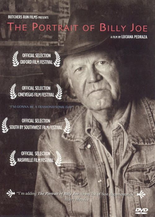 The Portrait of Billy Joe (2004) poster