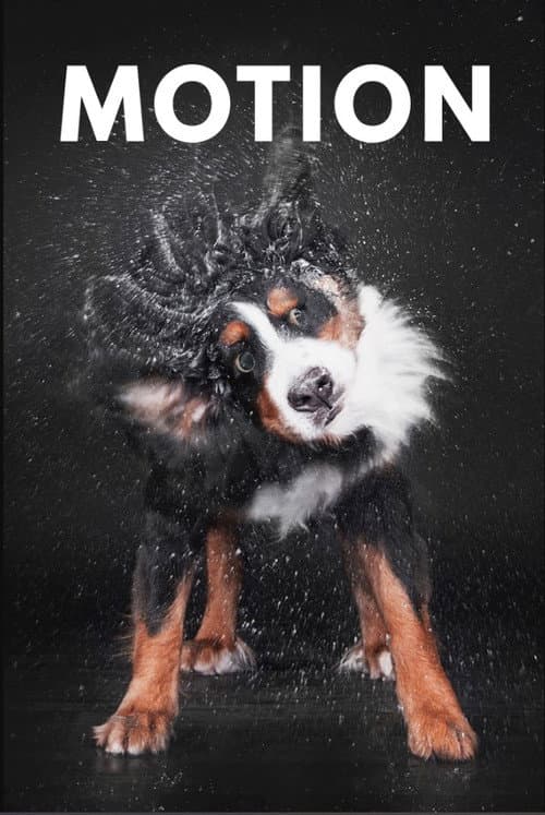 Motion (2017) poster