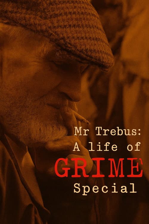 Mr Trebus: A Life of Grime (2002) poster