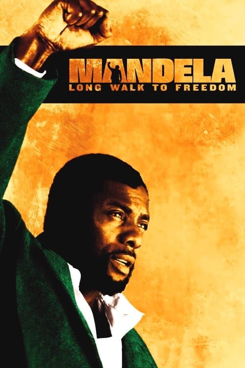 Mandela: Long Walk to Freedom (2013) poster