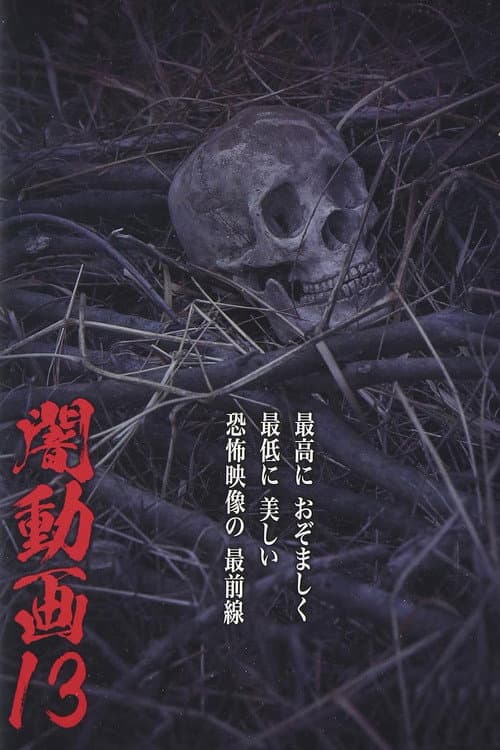 闇動画13 (2015) poster