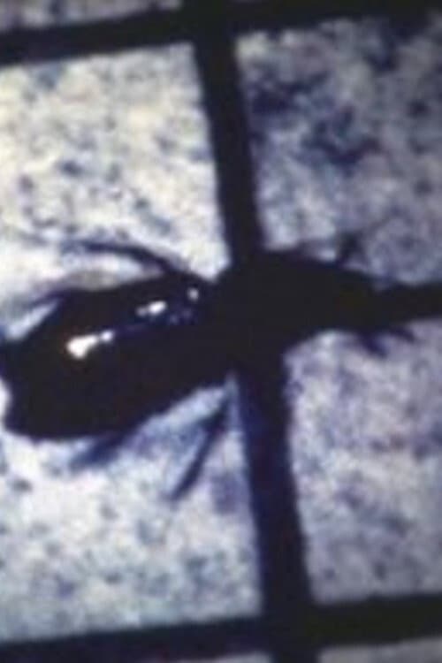 INSECT (1983) poster