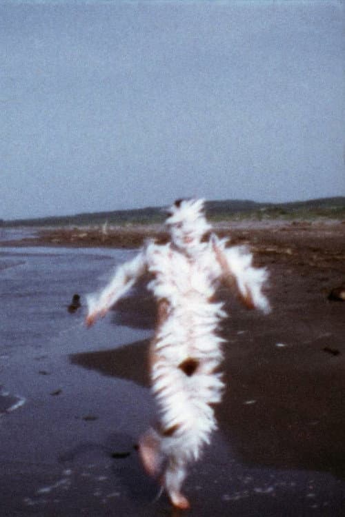 Bird Run (1974) poster