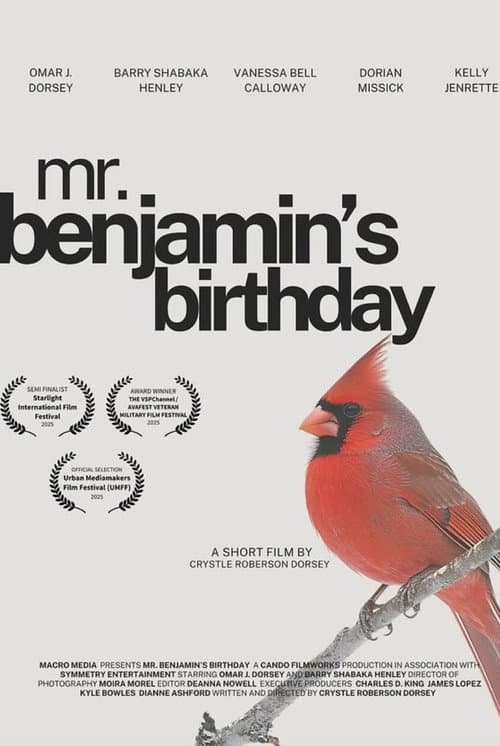 Mr. Benjamin's Birthday (2026) poster