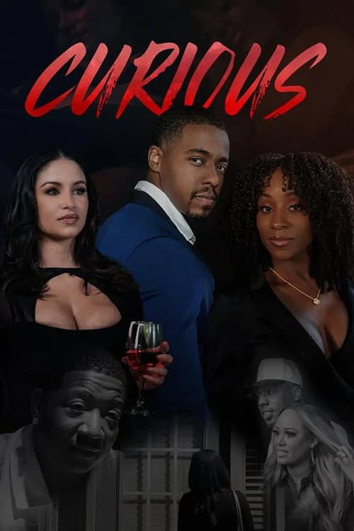 Curious (2025) poster
