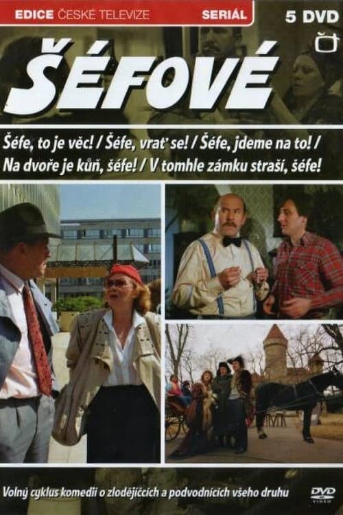 V tomhle zámku straší, šéfe! (1990) poster