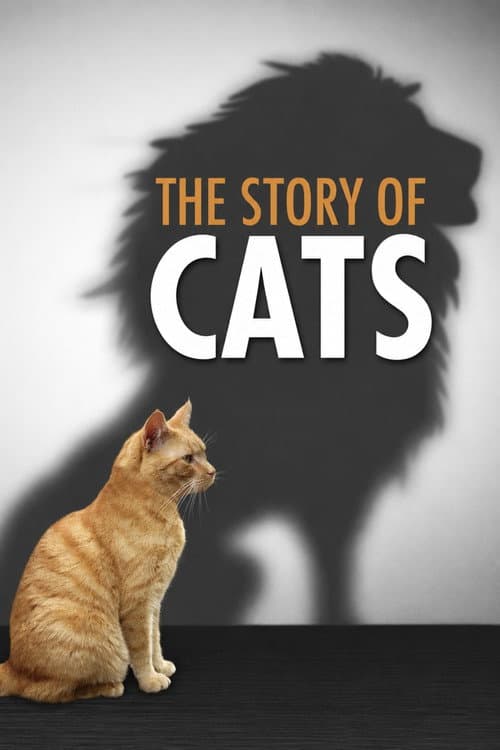 The Story of Cats (2016) poster