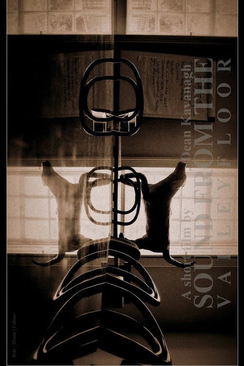 Sound from the Valley Floor (2012) poster