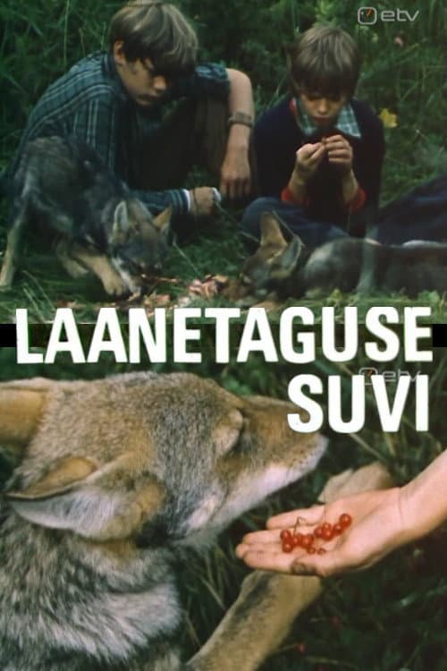 Laanetaguse suvi (1979) poster