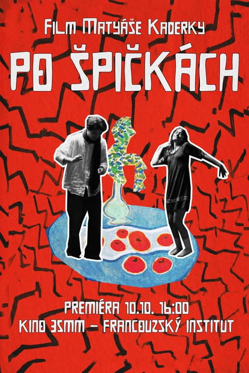 Po Špičkách (2025) poster