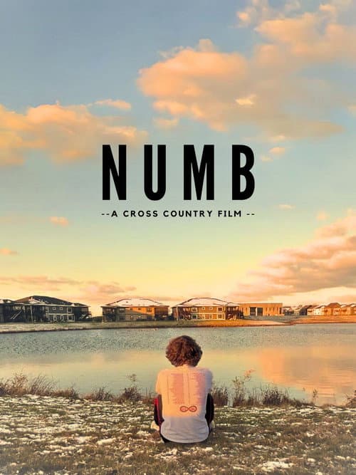 Numb (2024) poster