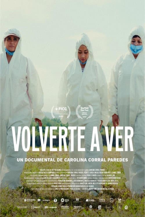 Volverte a ver (2020) poster
