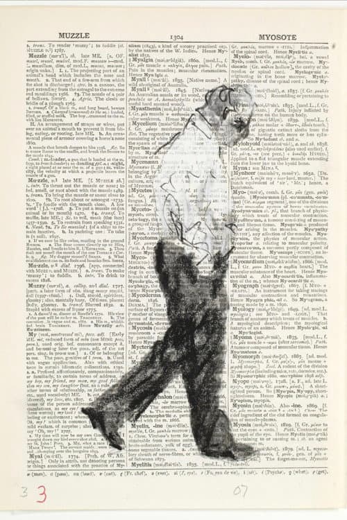 Second-hand Reading (2013) poster