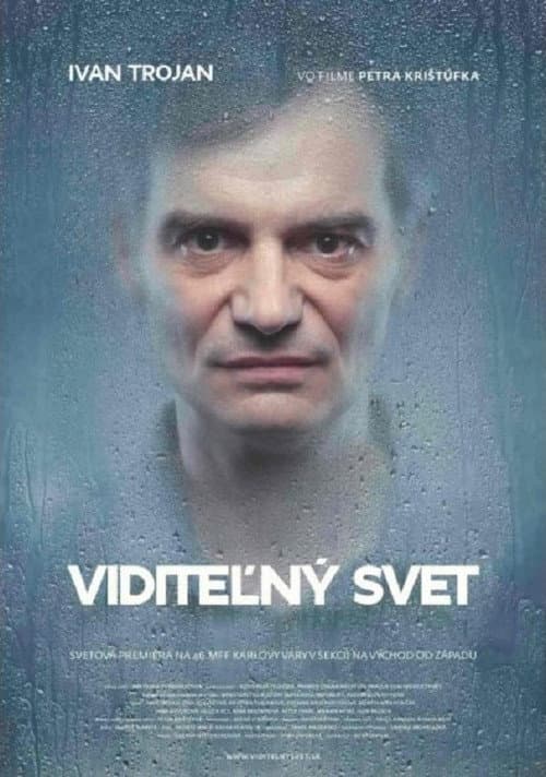 Viditeľný svet (2011) poster