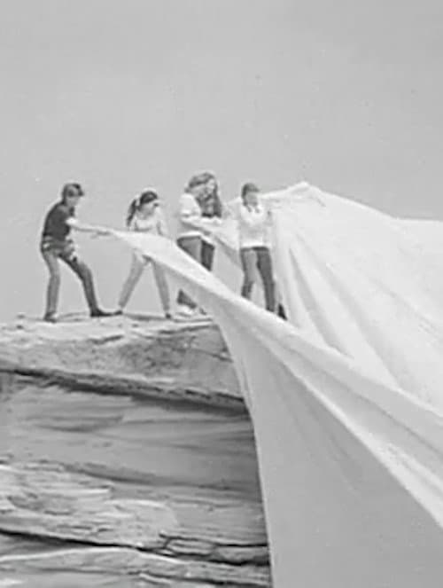 Operation Wrap Up: Christo In Australia (1969) poster