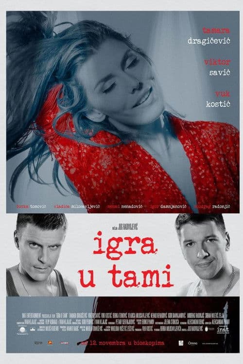Igra u tami (2015) poster