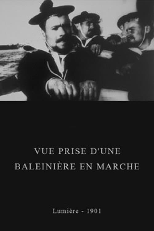 Vue prise d'une baleinière en marche (1900) poster