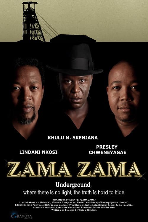 Zama Zama (2012) poster