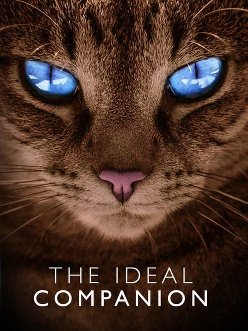 The Ideal Companion (2007) poster