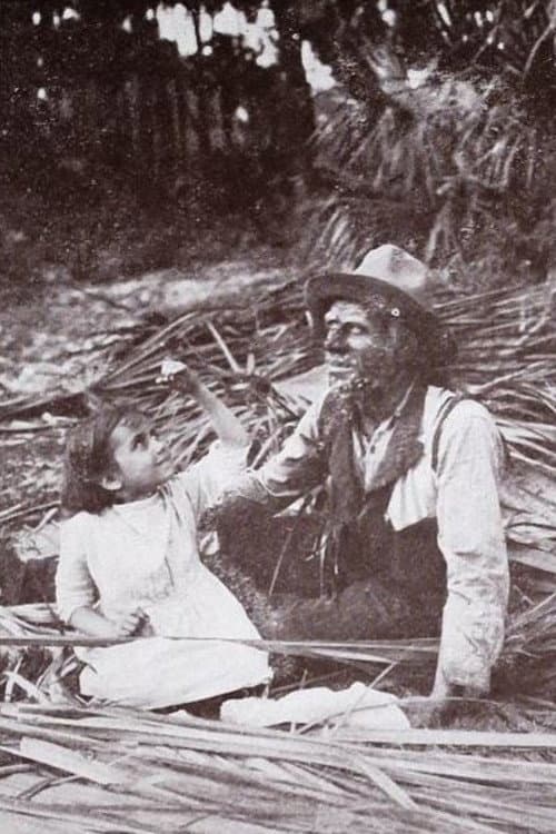 The Message of the Palms (1913) poster