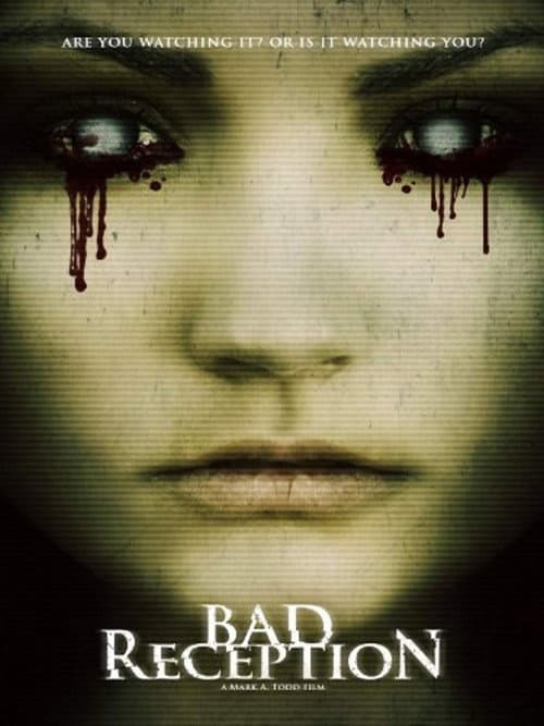 Bad Reception (2009) poster