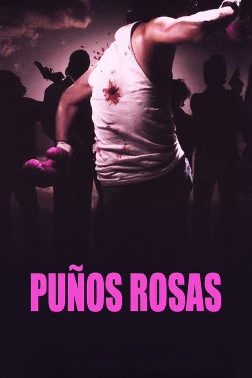 Puños rosas (2004) poster