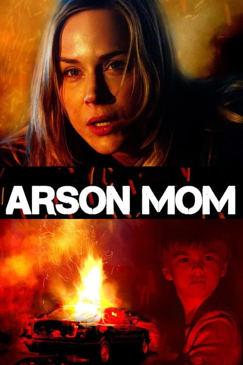 Sole Custody (2014) poster